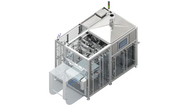 HS LA Filler Orthographic